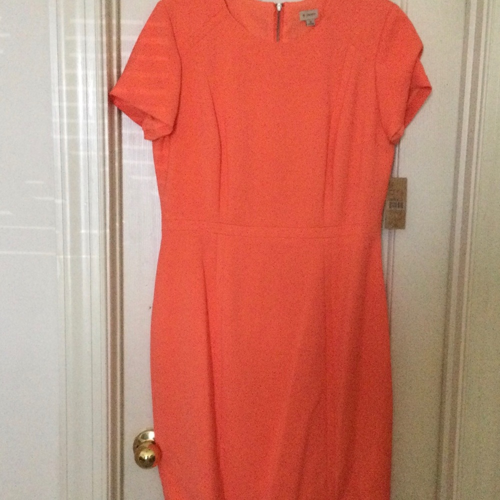New Daniel Cremieux Women’s mini dress